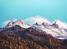 欧冠淘汰赛下注-国王20年只进1次季后赛，却还在假装要赢球