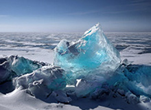 欧冠让球盘口-巴雷特苦练罚篮提升效率 新赛季将改打小前锋